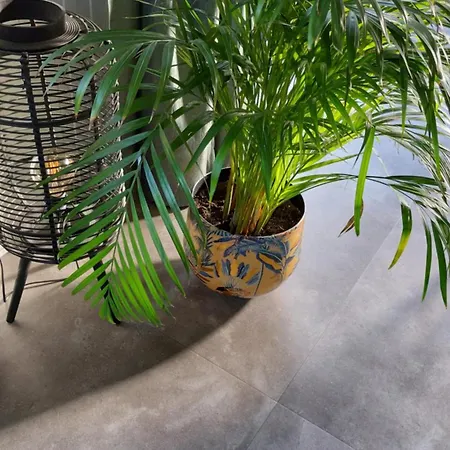 Aan De Lankeren -exclusief Ontbijt- Konukevi 3*