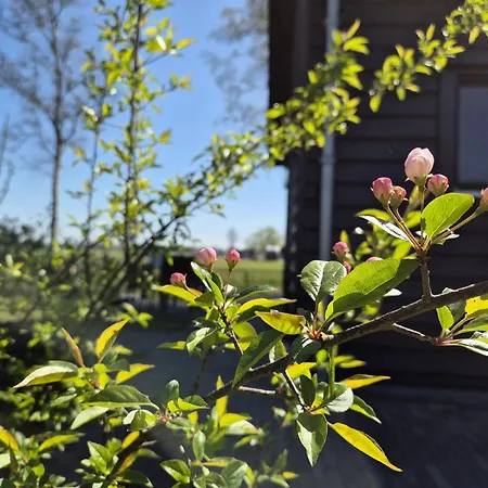 Konukevi Aan De Lankeren -exclusief Ontbijt- 3*