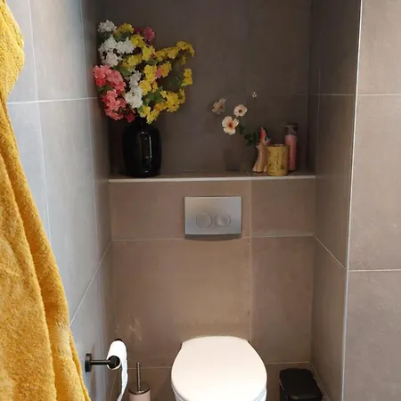 Guest house Aan De Lankeren -exclusief Ontbijt- Voorthuizen