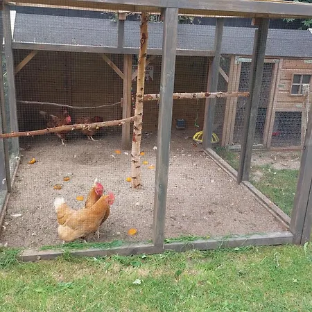 Aan De Lankeren -exclusief Ontbijt-