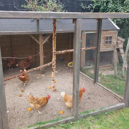 Aan De Lankeren -exclusief Ontbijt- 3*