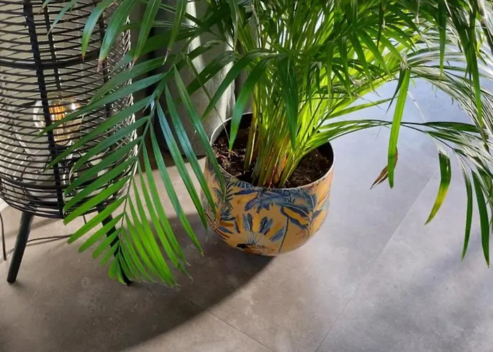 Aan De Lankeren -exclusief Ontbijt- Konukevi 3*