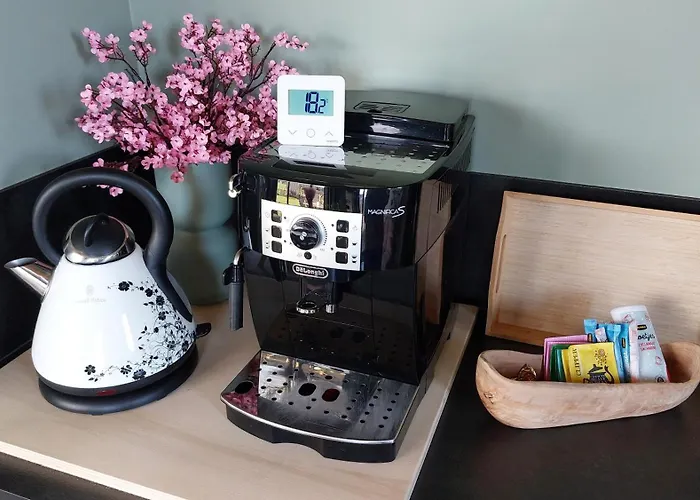 Konukevi Aan De Lankeren -exclusief Ontbijt- 3*