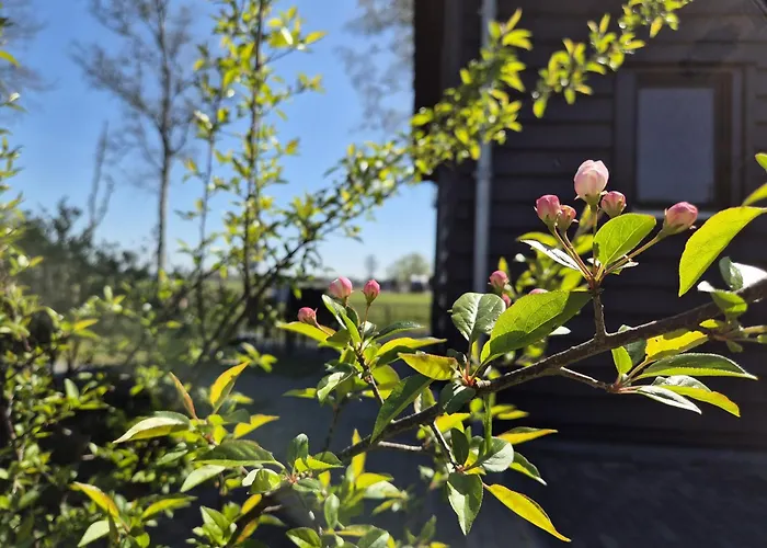 Konukevi Aan De Lankeren -exclusief Ontbijt- 3*