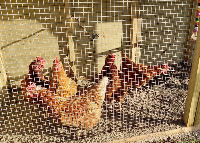 Aan De Lankeren -exclusief Ontbijt-